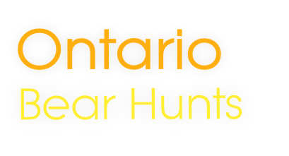 Bear Hunts
